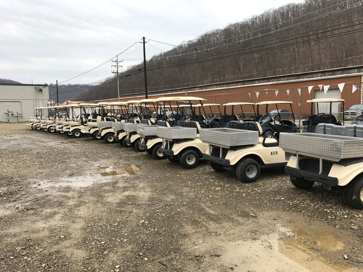 Gas Club Car DS Golf Carts