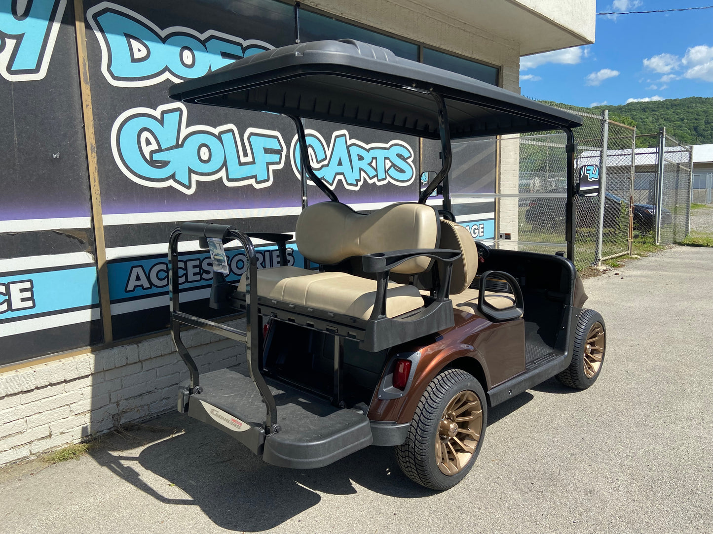 2017 EZGO RXV - Chocolate *SOLD*